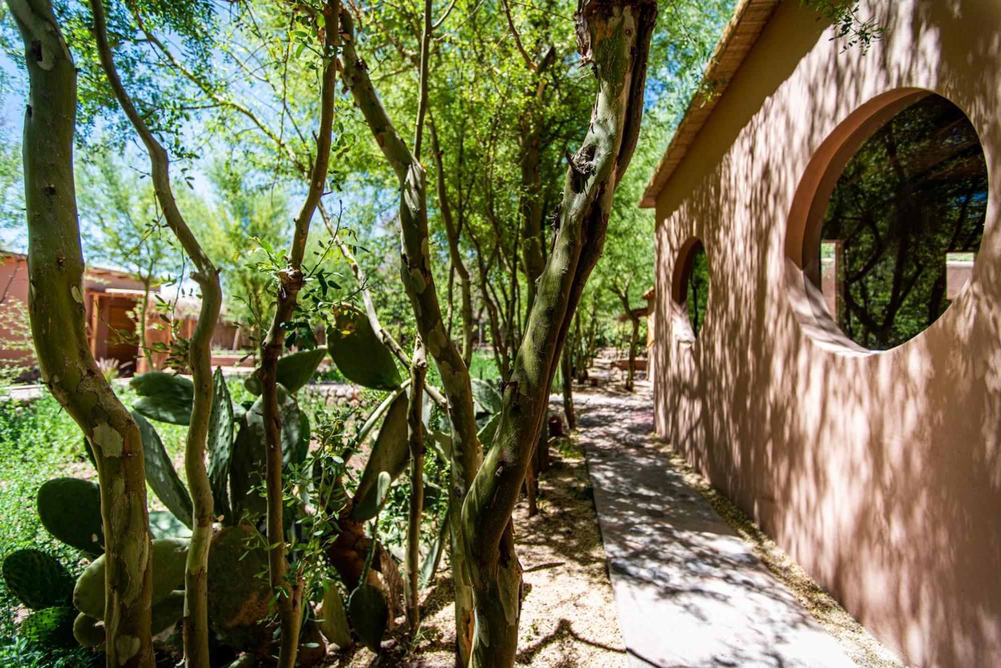 Naturalis Hotel San Pedro de Atacama Eksteriør bilde